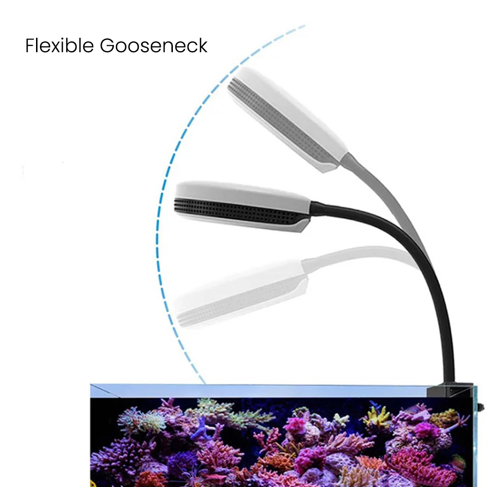 Spectra SP20 20W Aquarium LED  - Marine Aquarium Led Lights review and price