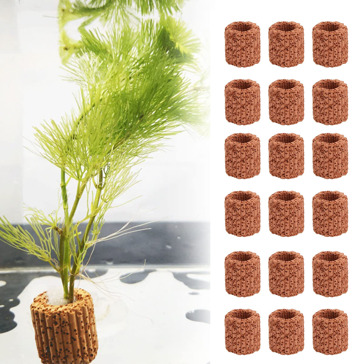 10/20Pcs Aquatic Water Plant F - Aquarium Innovative Marine review and price