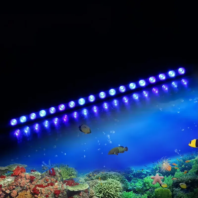 Dimmable Timing LED Aquarium L - Marine Aquarium Hours review and price