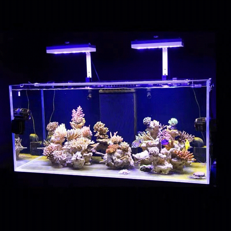 Aqua Illumination AI Hydra 32H - Marine Aquarium Led Lights review and price