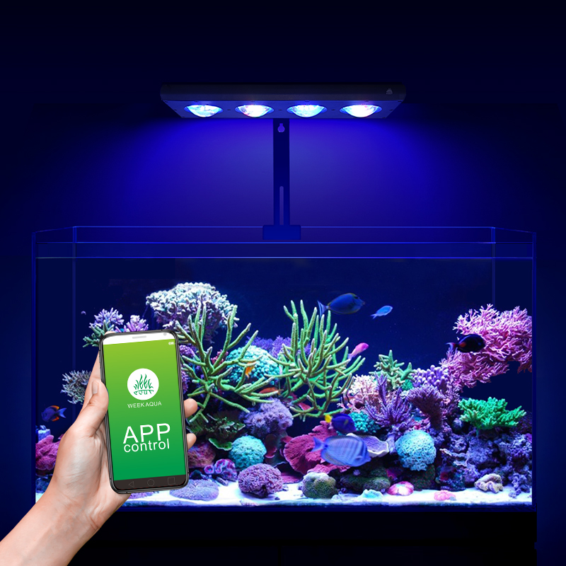 ZXY Hot Sale WEEKAQUA Z250 Z40 - Marine Aquarium Led Lights review and price