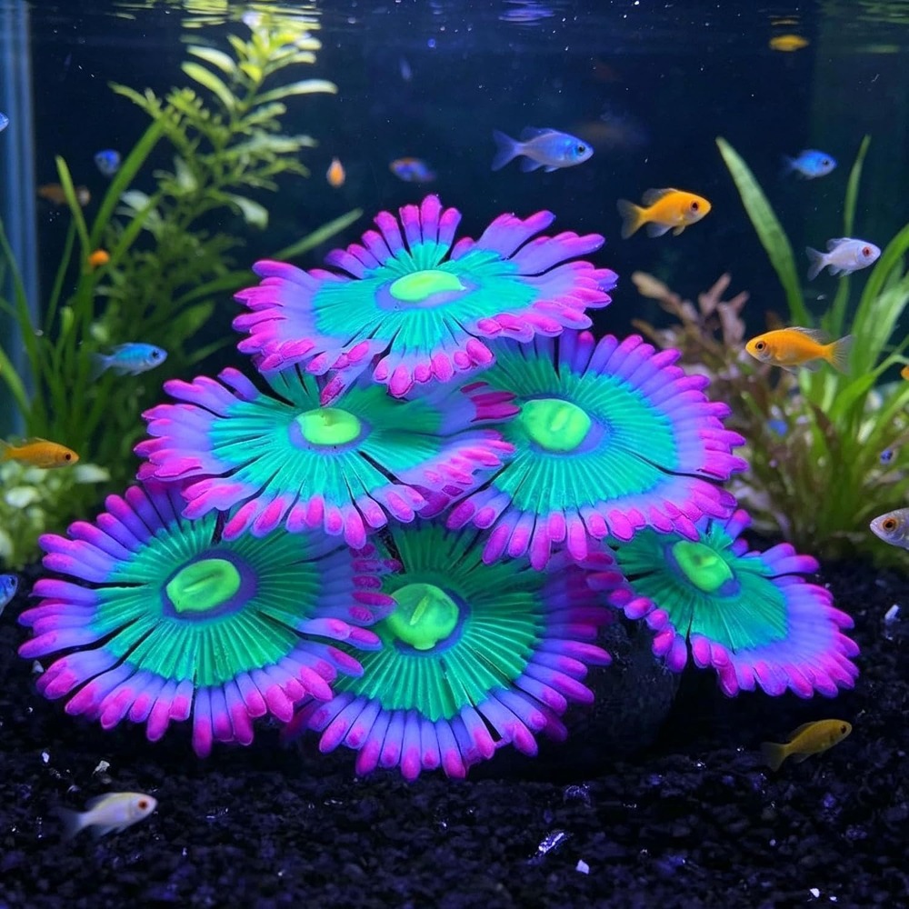 Glowing Soft Aquarium Fish Tan - Aquarium Innovative Marine review and price