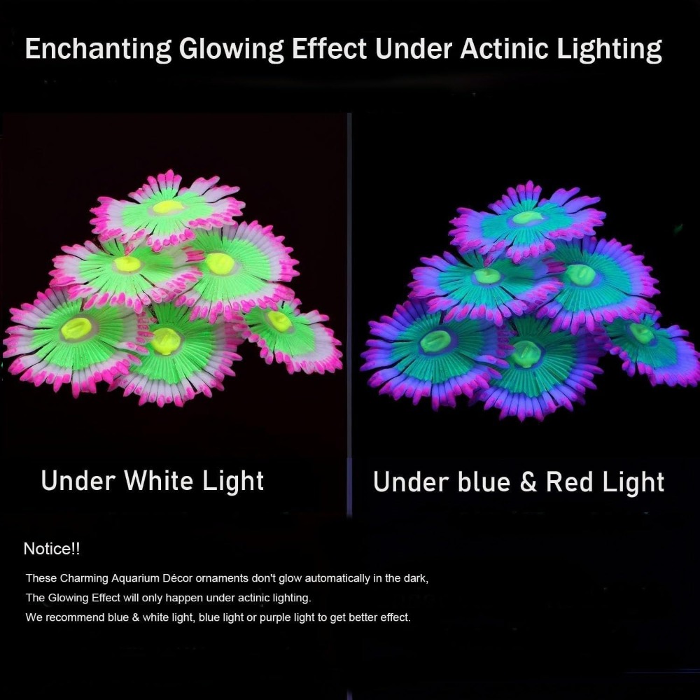 Glowing Soft Aquarium Fish Tan - Aquarium Innovative Marine review and price
