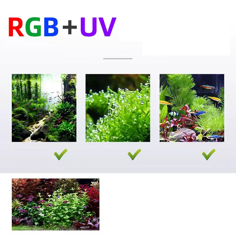Led Lighting 60cm 80cm 90cm RG - Marine Aquarium Led Lights review and price