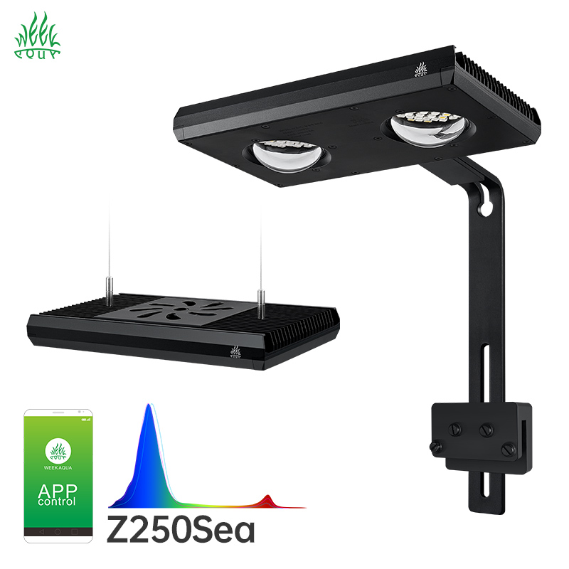 Week Aqua Z250Sea Z400Sea LED  - Aqua Marine Tank review and price