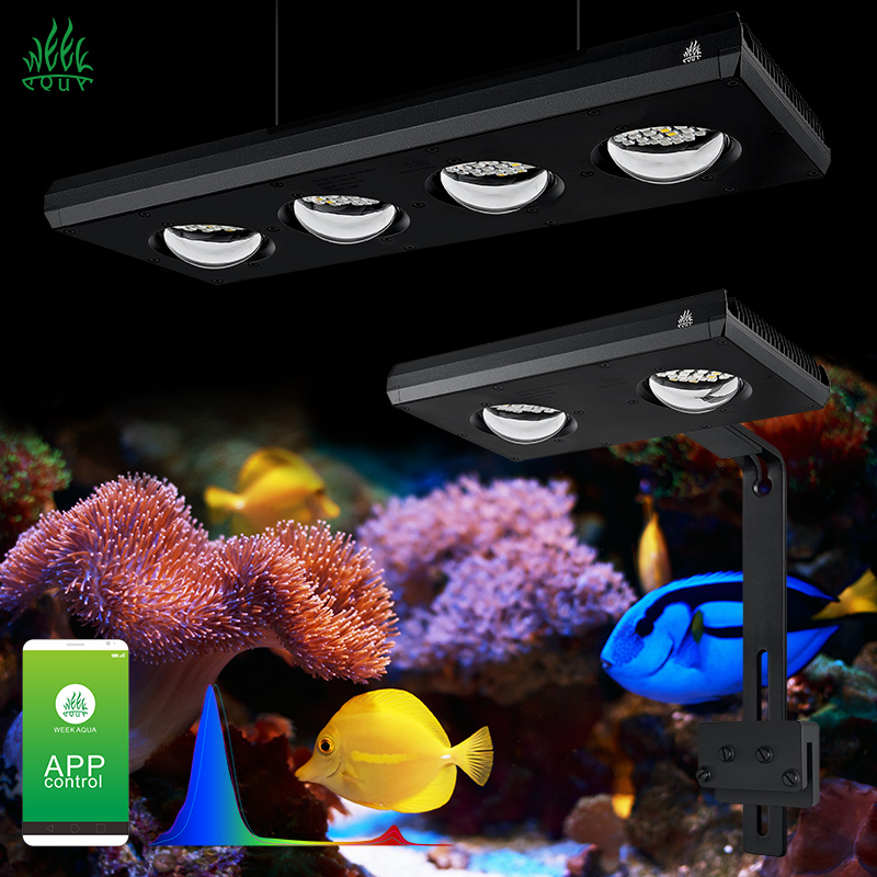 Week Aqua Z250Sea Z400Sea LED  - Aqua Marine Tank review and price