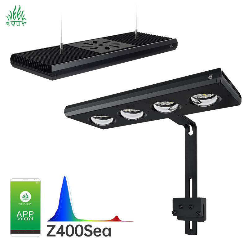 Week Aqua Z250Sea Z400Sea LED  - Aqua Marine Tank review and price