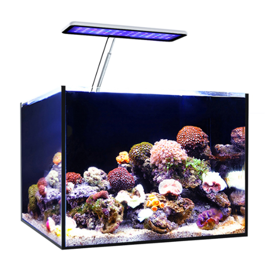 MicMol Aqua CC Full Spectrum C - Aqua Marine Tank review and price