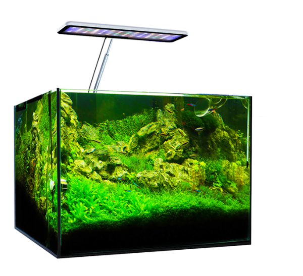 MicMol Aqua CC Full Spectrum C - Aqua Marine Tank review and price
