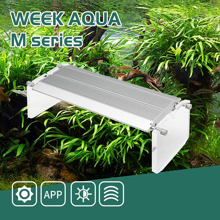 WEEK AQUA Aquarium Led Vivid L - Marine Aquarium Led Lights review and price