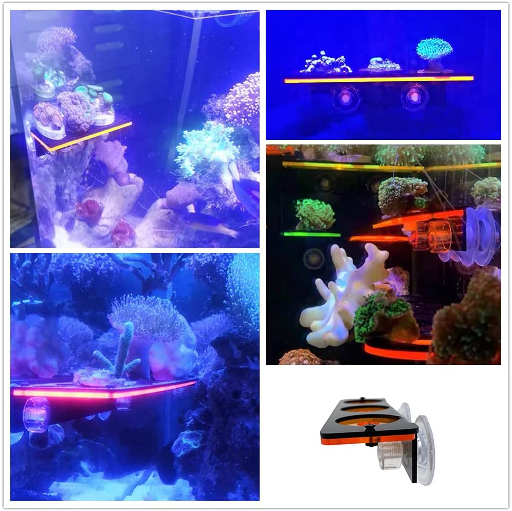 Fluorescent Coral Frag Plug Br - Aquarium Innovative Marine review and price