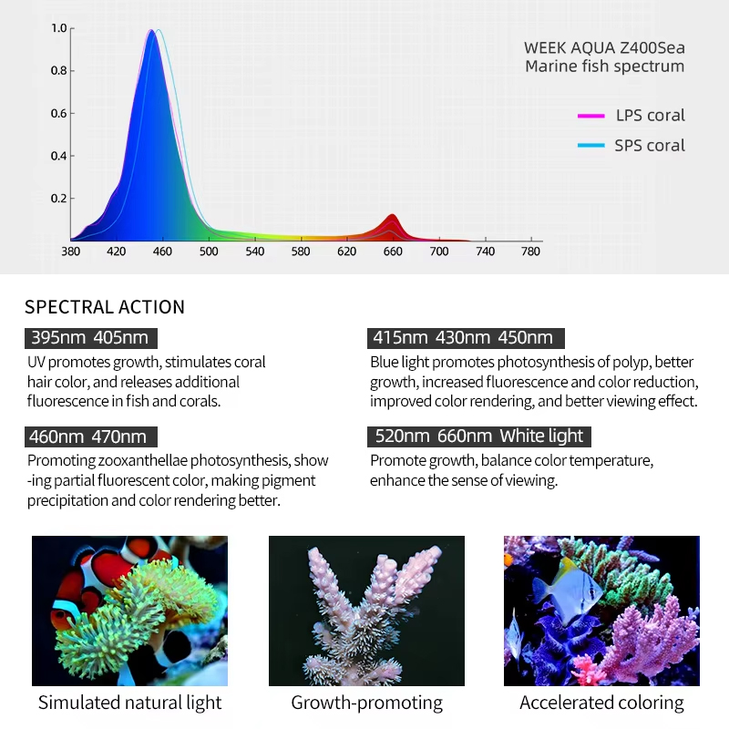 WEEK AQUA Z Series LED A7 Reef - Aqua Marine Tank review and price