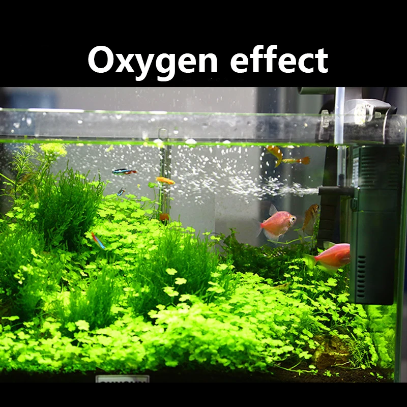 SUNSUN mini nano 111B 311B 611 - Aquarium Marine Filter review and price